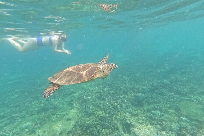 Tioman Coral Island Snorkeling & Island Hopping Tour - Frequently Asked Questions