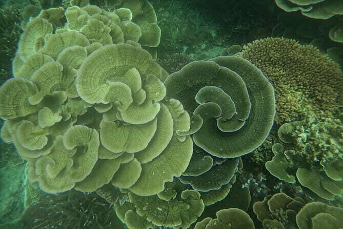 Tioman Coral Island Snorkeling & Island Hopping Tour - The Itinerary Breakdown: What You Can Expect