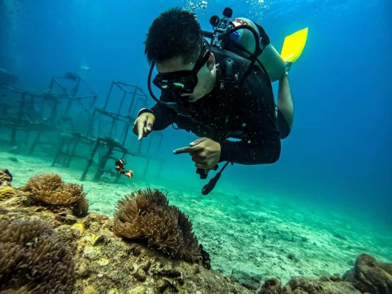 Tioman Island, Malaysia: Discover Scuba Diving Adventure - Introduction to Tioman’s Underwater Charm