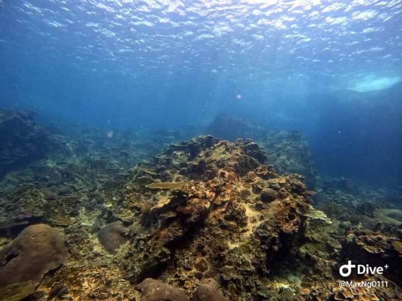 Tioman Island, Malaysia: Discover Scuba Diving Adventure - Final Thoughts: Who Should Consider This Tour?