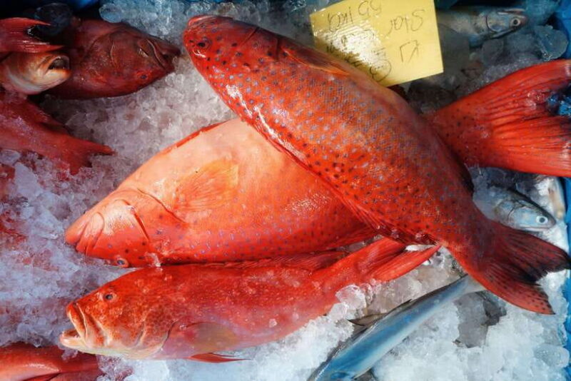 Tiong Bahru: Explore Singapore's Oldest Estate (Mandarin ) - Final Thoughts