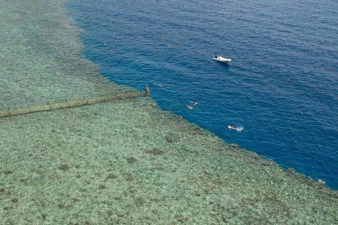 Tiran Island Boat Tour - Meeting and Pickup