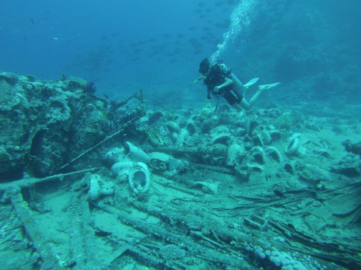 Tiran Island: Full-day Snorkeling, Diving Boat Trip - Experience Highlights