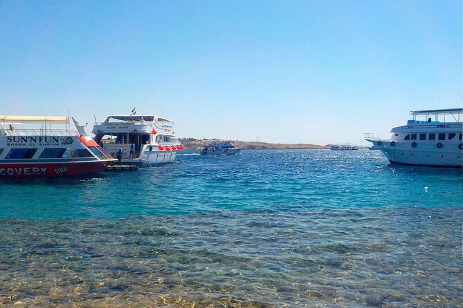 Tiran Island Full Day Snorkeling Sea Trip, Lunch With Transfer - Sharm El Sheikh - Trip Itinerary Details