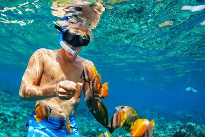 Tiran Island Snorkeling Excursion - Transfers, Snorkeling Gear, Drinks, and Lunch