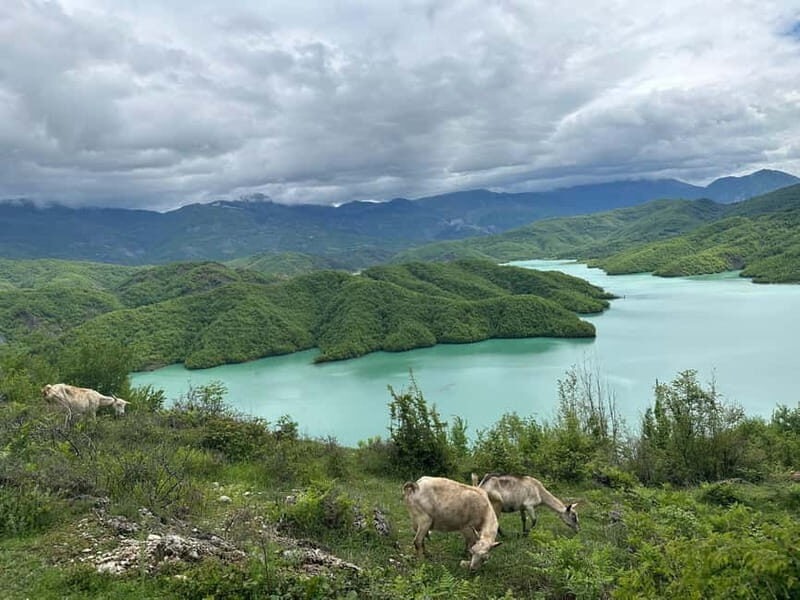 Tirana: Bovilla Lake & Gamti Mountain with SUV, No-Hiking - Why This Tour Is Worth It