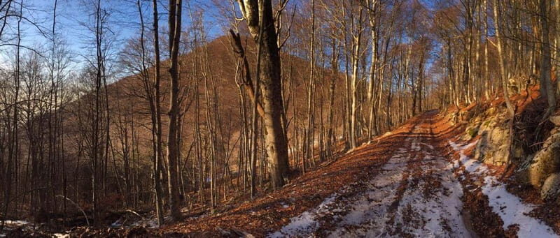 Tirana: Dajti Mountain Half-Day Trip with Cable Car Ticket - What Makes This Tour Stand Out?