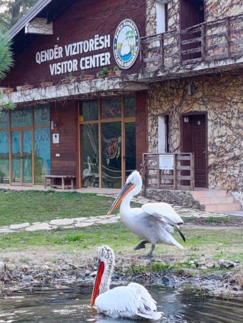 Tirana / Durrës: Berat UNESCO City & Karavasta National Park - Considerations and Practical Tips