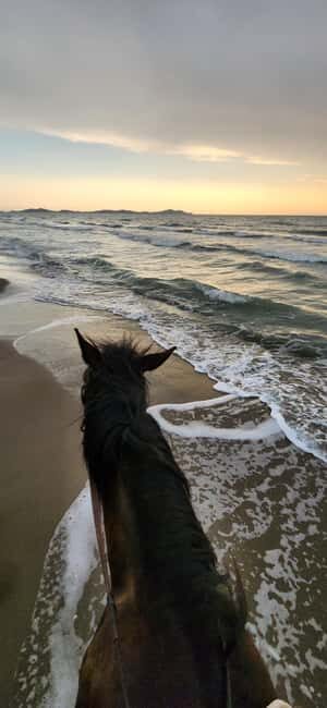 Tirana/Durrës: Fllakë Beach Escape and Optional Horse Ride - The Value of $77: What You’re Getting