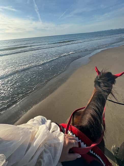 Tirana/Durrës: Fllakë Beach Escape and Optional Horse Ride - Detailed Experience: Why It Works for Different Travelers