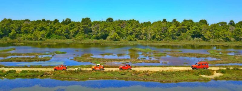 Tirana/Durres/Golem: Karavasta Lagoon Day Tour with Boat - A Deep Dive into the Experience