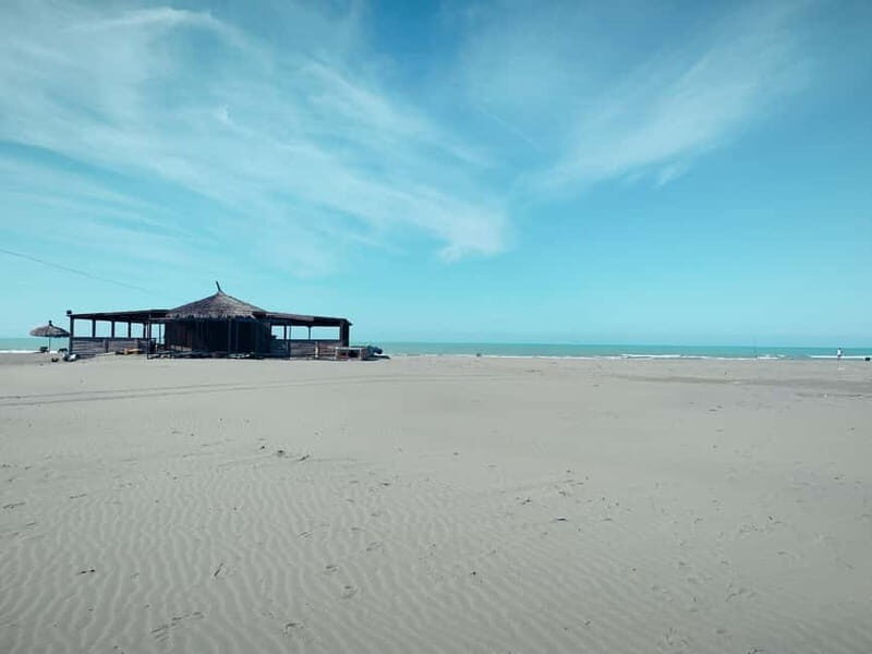 Tirana to Bylis & Apollonia: Private day trip - An In-Depth Look at the Tirana to Bylis & Apollonia Private Day Trip