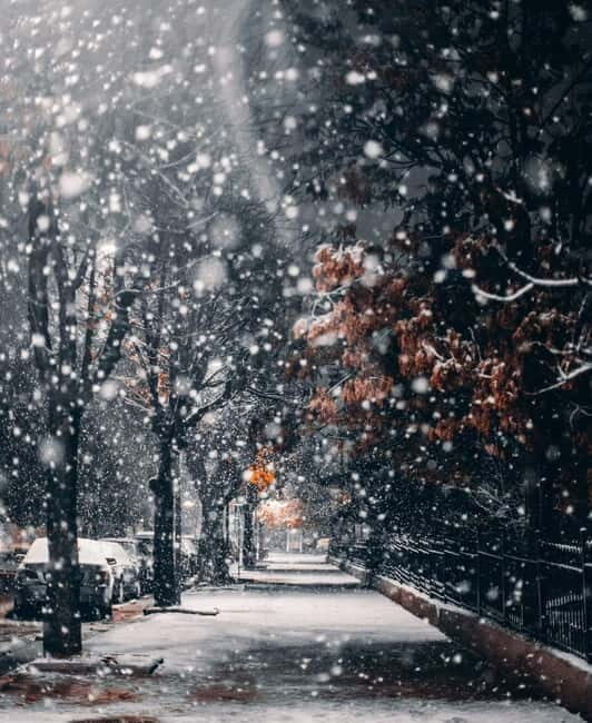 Tirana to Korcë by Eden: Private day trip - FAQ