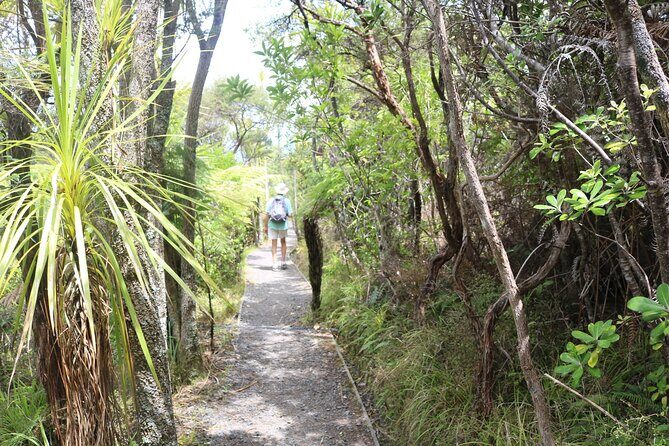 Tiritiri Matangi Island Discovery - from Auckland - Good To Know