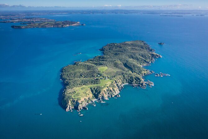 Tiritiri Matangi Island Discovery - from Auckland - An In-Depth Look at the Tiritiri Matangi Island Experience