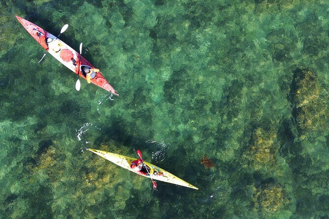 Tiritiri Matangi Sea Kayak Tour - An In-Depth Look at the Tiritiri Matangi Sea Kayak Experience