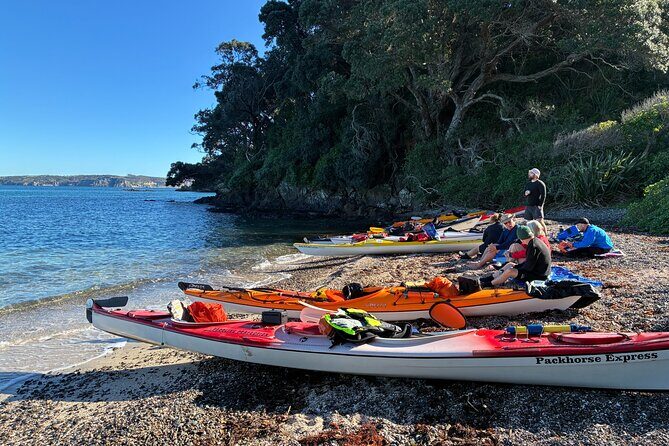 Tiritiri Matangi Sea Kayak Tour - Authentic Insights from Participants