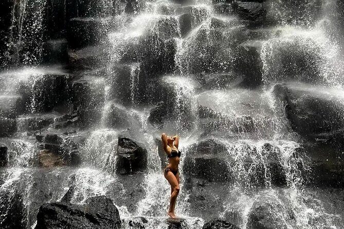 Tirta Empul temple, Jungle Swing and Waterfalls - Private Tour - What’s Not Included?