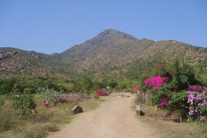 Tiru Arunachala Tours - Tiruvannamalai Tour Guide - Good To Know