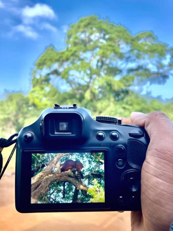 Tissa: Yala National Park Private Jeep Safari with Meals - The Sum Up