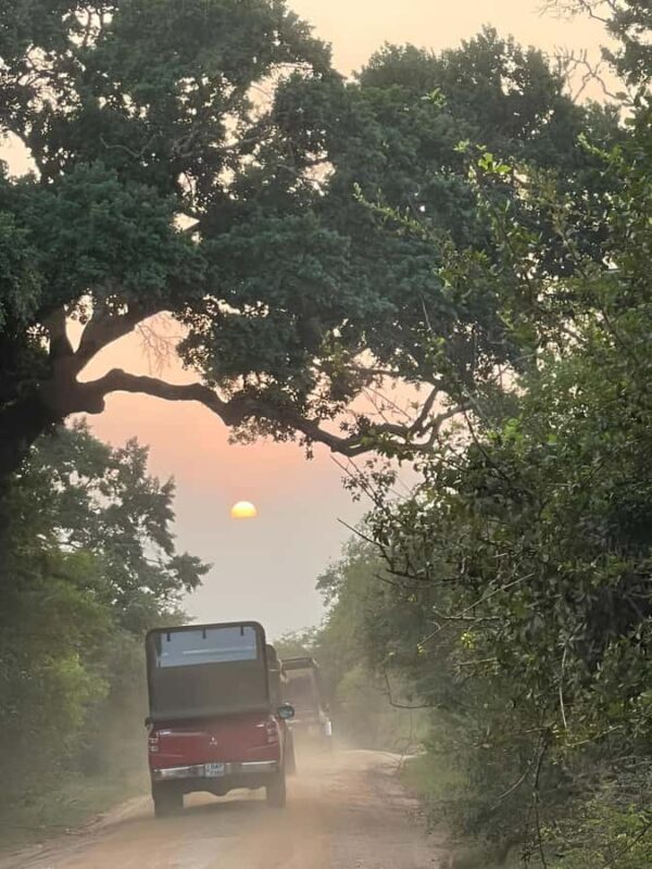 Tissa: Yala National Park Private Jeep Safari with Meals - Detailed Breakdown of the Itinerary and Experience