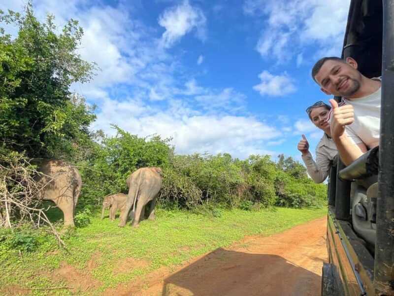 Tissa: Yala National Park Private Jeep Safari with Meals - What to Pack and What to Know Before You Go  