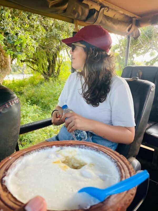 Tissa: Yala National Park Private Jeep Safari with Meals - The Sum Up  