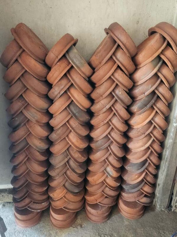 Tissamaharama: Birdwatching Tour with Village Experience - Good To Know