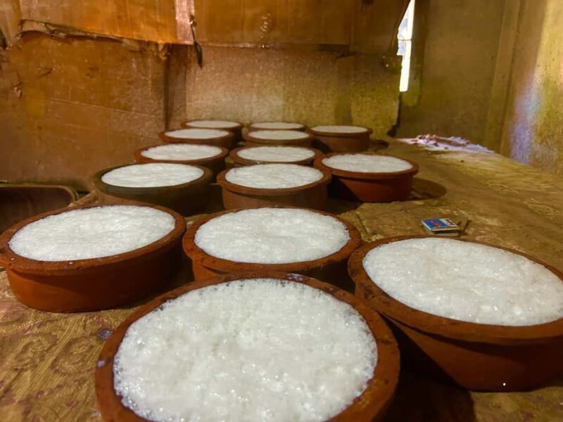 Tissamaharama Fresh Curd-Making Experience - A Deep Dive into the Tissamaharama Fresh Curd-Making Experience
