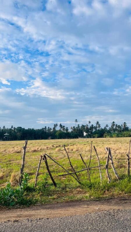 Tissamaharama: private Tuk Tuk Tour & Kataragama Temple - FAQ