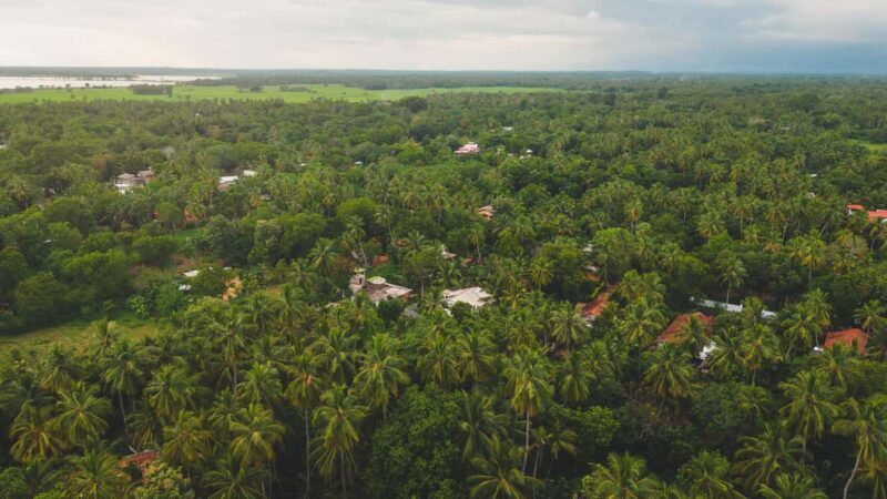 Tissamaharama: Sri Lankan Village Tour with Lunch - Good To Know