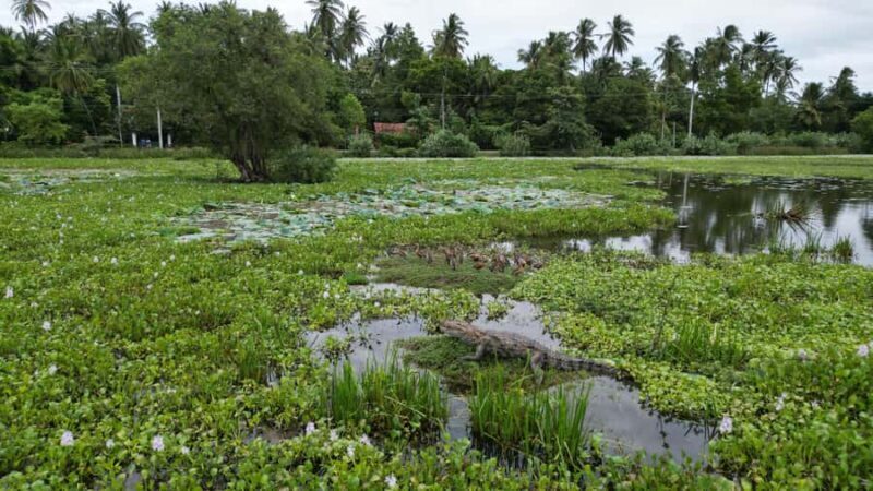 Tissamaharama: Sunset Boat Ride and Lake BBQ with Beer - Introduction and First Impressions