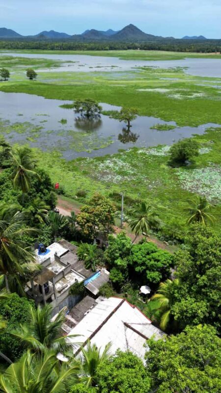 Tissamaharama: Sunset Boat Ride and Lake BBQ with Beer - What Makes This Tour Stand Out?