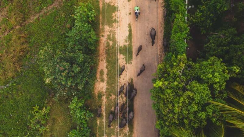 Tissamaharama: Sunset Boat Ride and Lake BBQ with Beer - The Sum Up: Who Will Love This Experience?