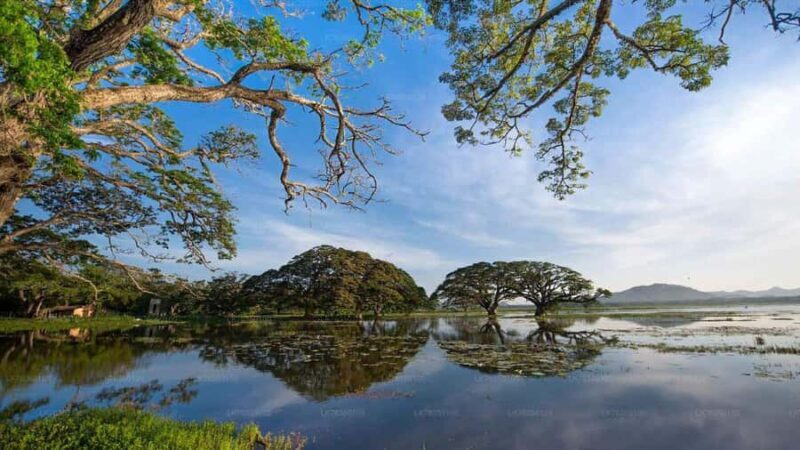 Tissamaharama: Sunset Boat Tour and Lake BBQ - Introduction to the Experience