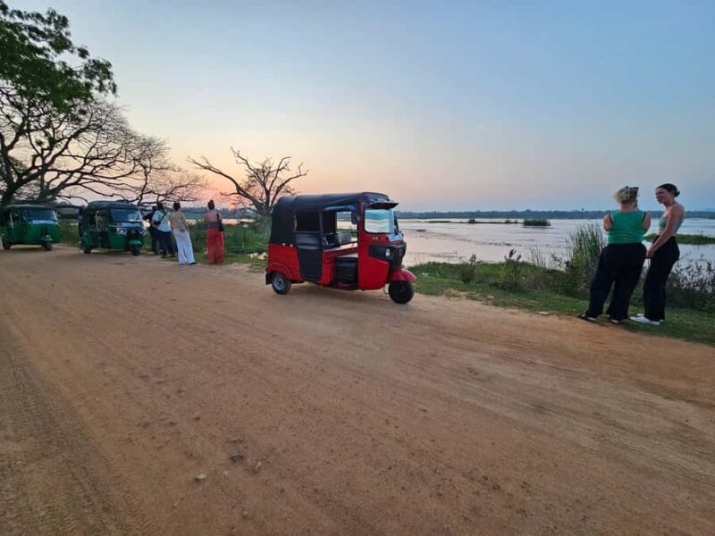 Tissamaharama: Temple Tour by Tuk-Tuk with Guide - Practicalities and Insights