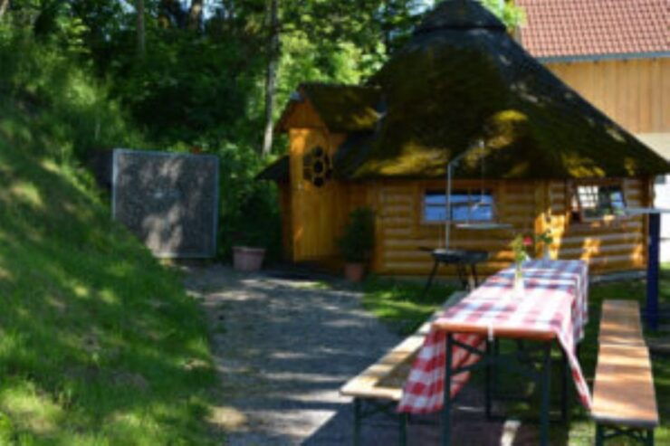 Titisee-Neustadt: Schwärzenbach Guided Segway Tour - Activity Details