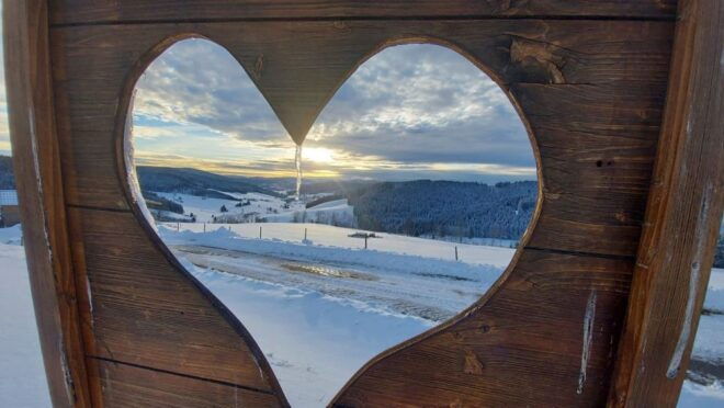 Titisee-Neustadt: Schwärzenbach Guided Segway Tour - The Sum Up