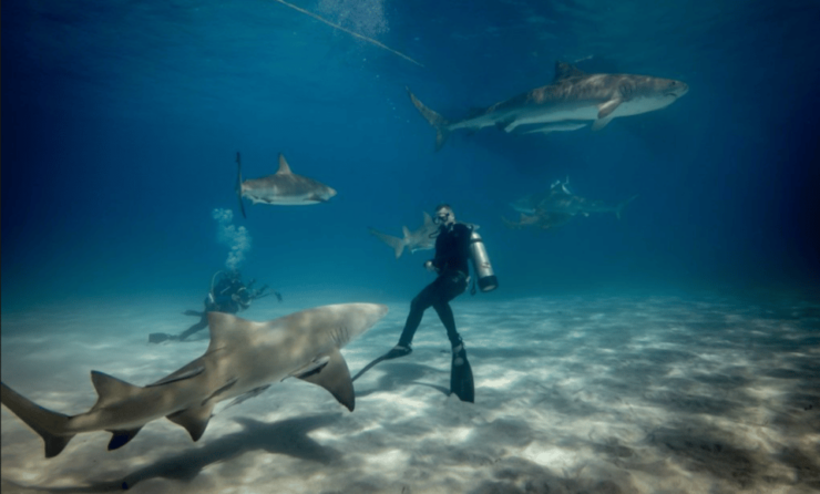 Title: La Paz: Scuba Diving - La Reynita Dive Site - Dive Site Description