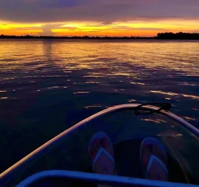 Titusville: Bioluminescent Clear Kayak Tour - Why You’ll Love This Experience