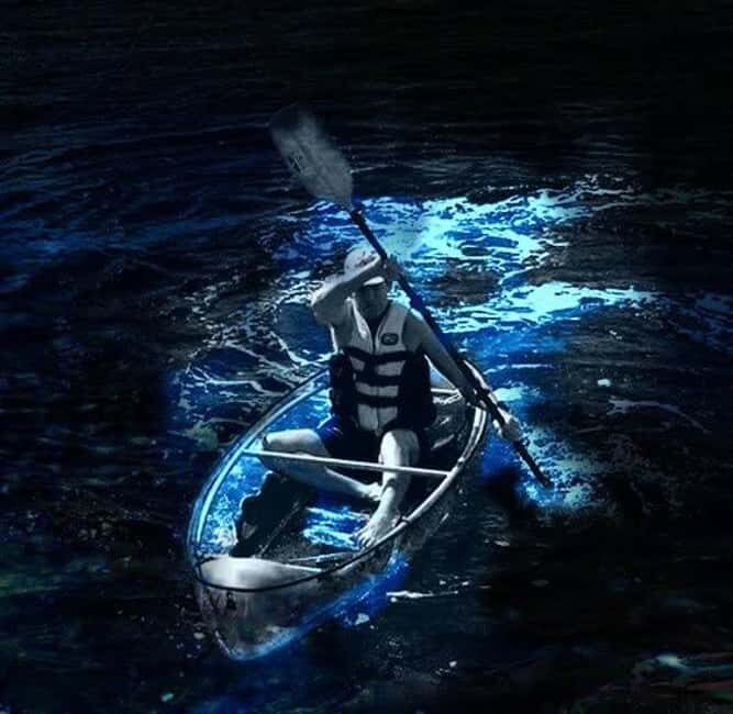 Titusville: Bioluminescent Clear Kayak Tour - Final Thoughts