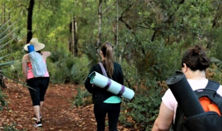 Titusville: Fox Lake Guided Hike With Outdoor Yoga Session - Activity Details