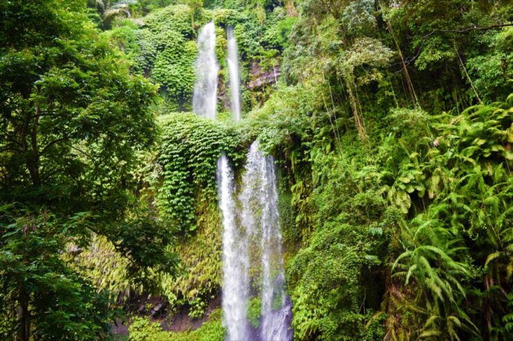 Tiu Kelep and Sendang Gile Waterfall Trekking Tour - Good To Know