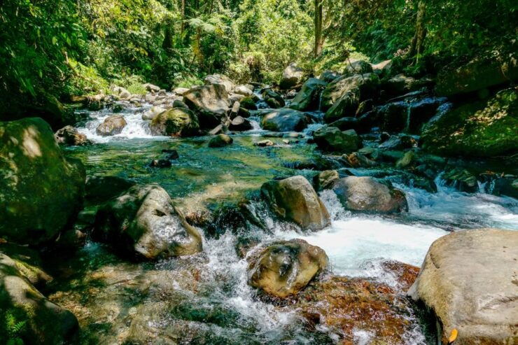 Tiu Kelep and Sendang Gile Waterfall Trekking Tour - Experience Highlights