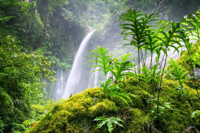 Tiu Kelep and Sendang Gile Waterfall Trekking Tour - Review Summary