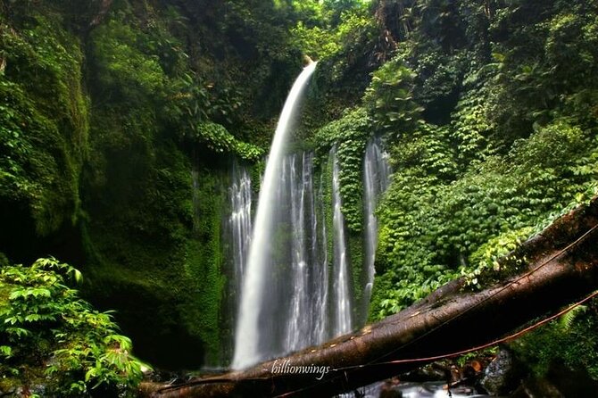 Tiu Kelep Waterfall Lombok - Location and Access