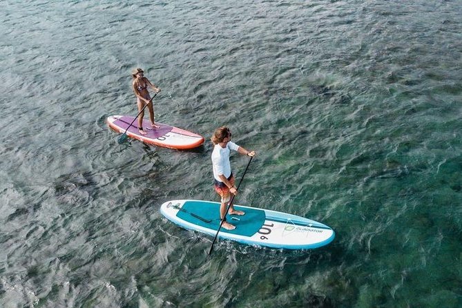 Tivat Stand-Up Paddle Board Rental - Additional Information