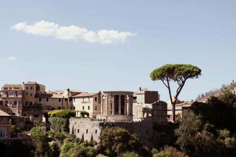 Tivoli Day Tour: Discover Hadrian's Villa and Villa d'Este - Who Should Consider This Tour?