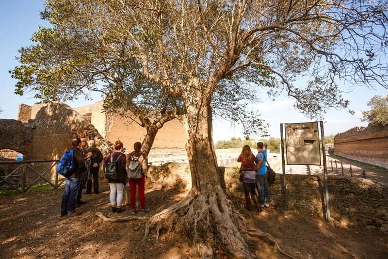 Tivoli: Entrance Ticket to Villa Adriana & App Audio Guide - Who Should Consider This Tour?
