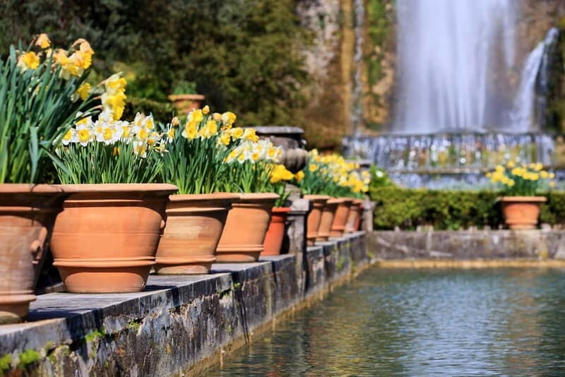 Tivoli: Villa D'Este Entry Ticket with Audio Guide App - Who Should Book This Experience?